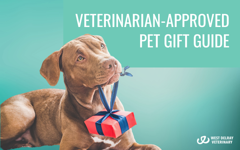 Veterinarian-Approved Pet Gift Guide