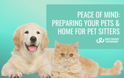Peace of Mind: Preparing your Pets and Home for Pet Sitters