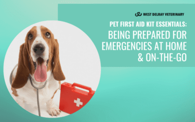 Pet First Aid Kit Essentials: Being Prepared for Emergencies at Home and On-the-Go