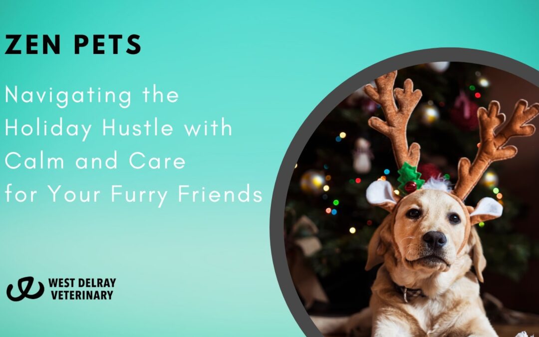 Zen Pets: Navigating the Holiday Hustle with Calm and Care for Your Furry Friends
